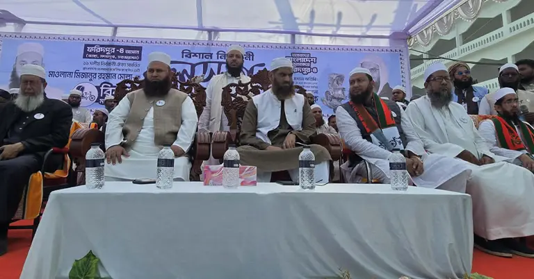 জনসভায় মামুনুল হক